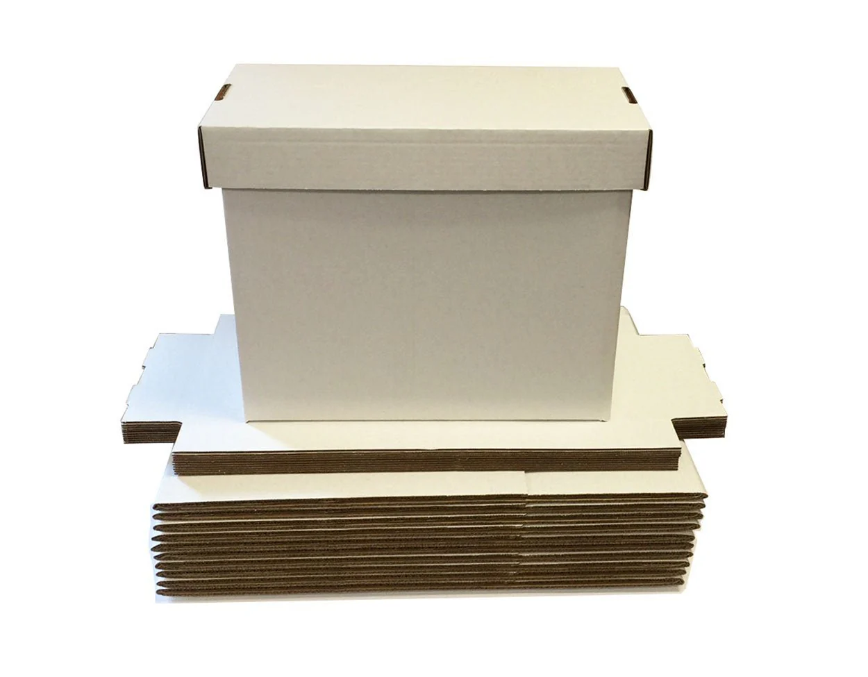 10-Pack Bundle Short Comic Storage Boxes