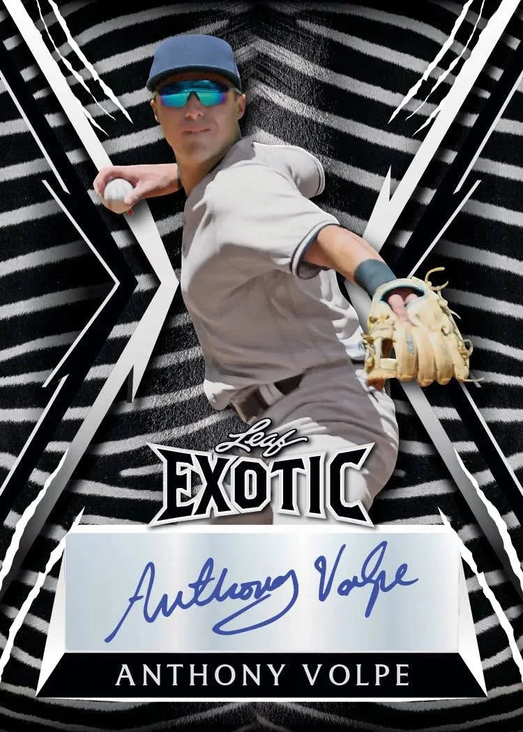 2023 Leaf Exotic Baseball Hobby Box - Image 2