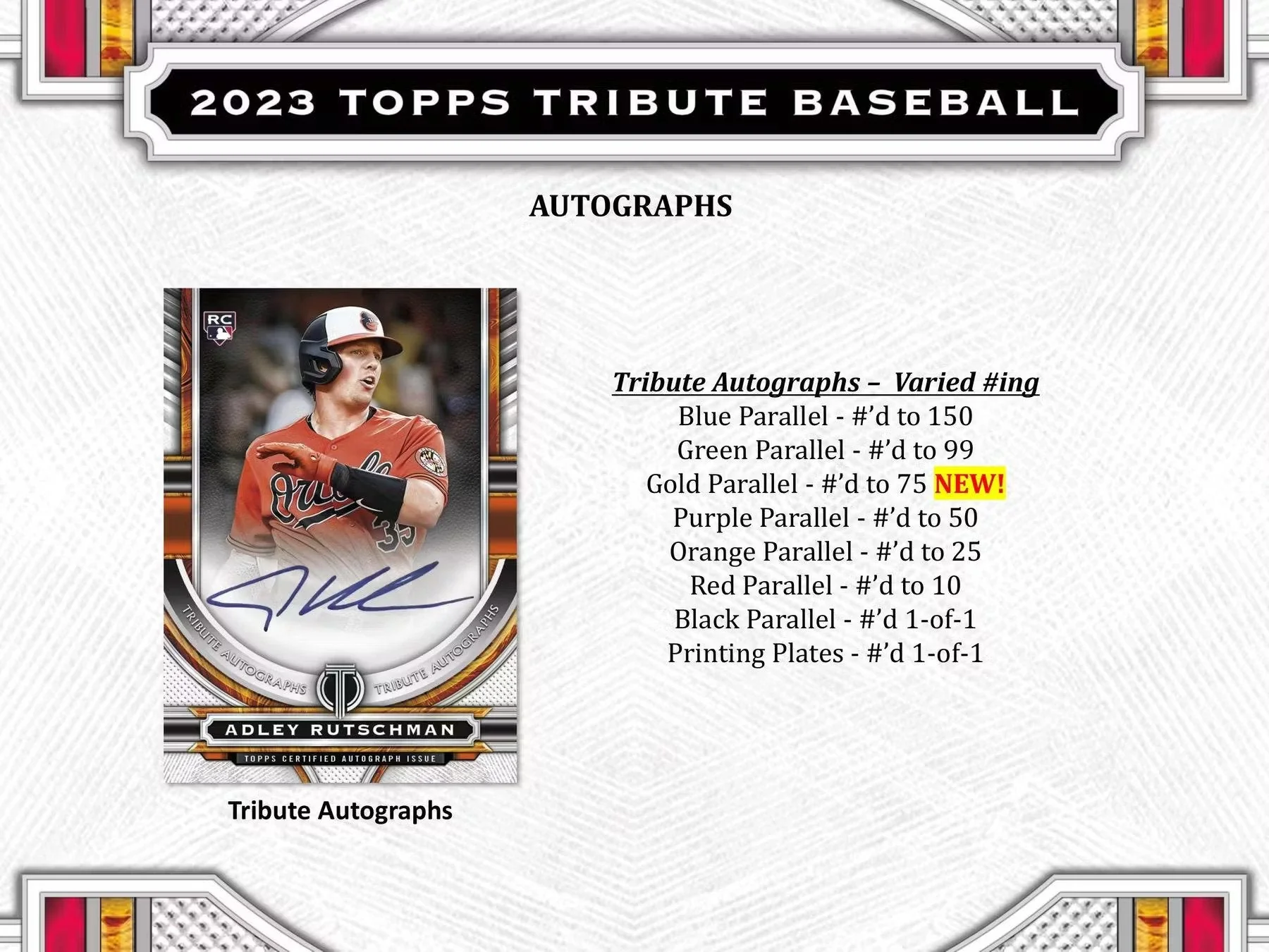 2023 Topps Tribute Baseball Hobby Box - Image 4