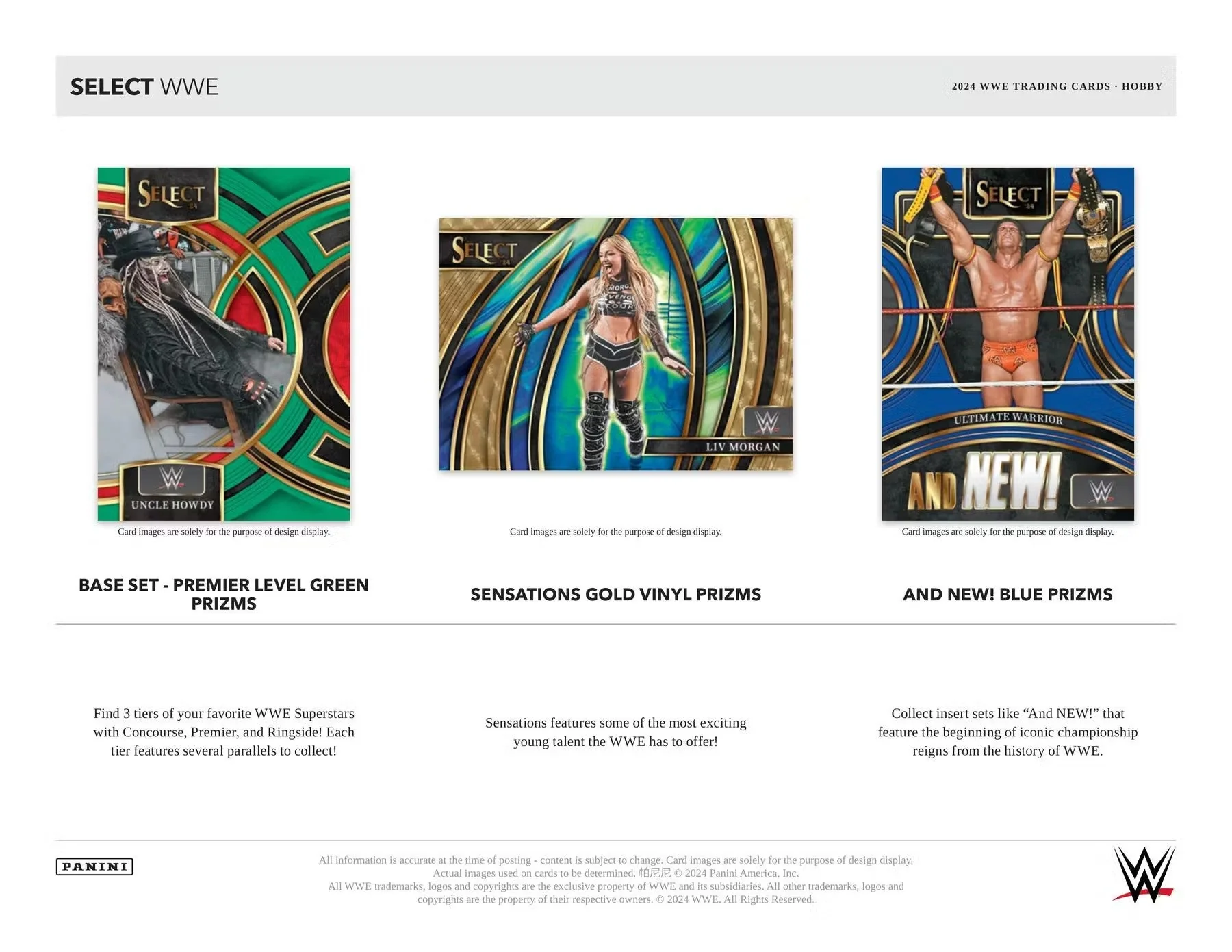 2024 Panini Select WWE Wrestling Hobby Box - Image 4