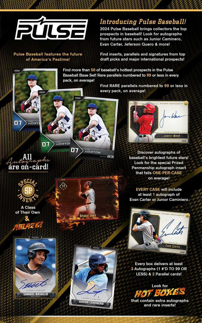 2024 Pulse Baseball