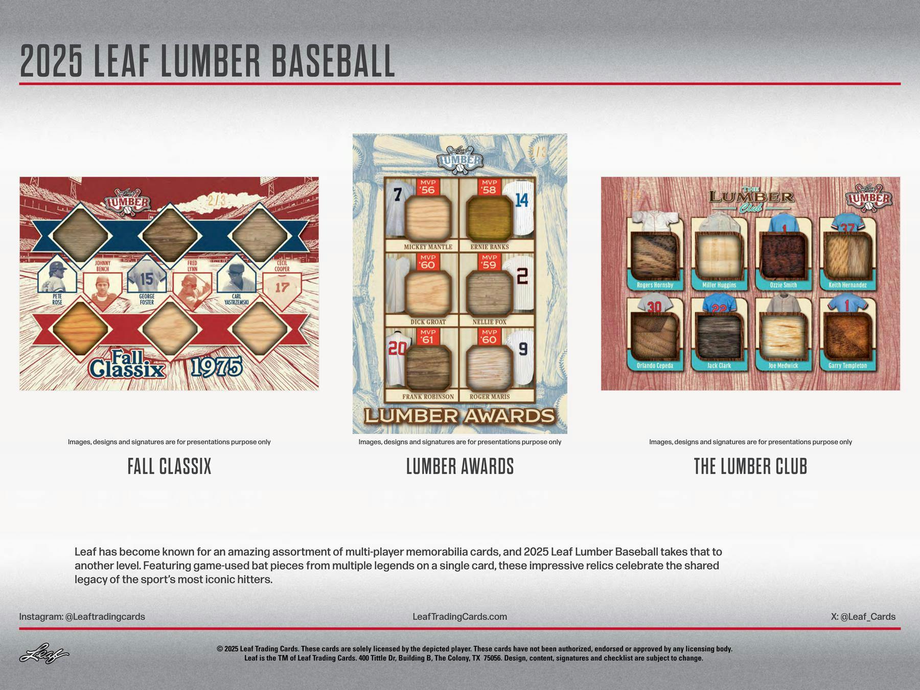 2025 Leaf Lumber Baseball Hobby Box | Columbia Sports Cards - Image 9