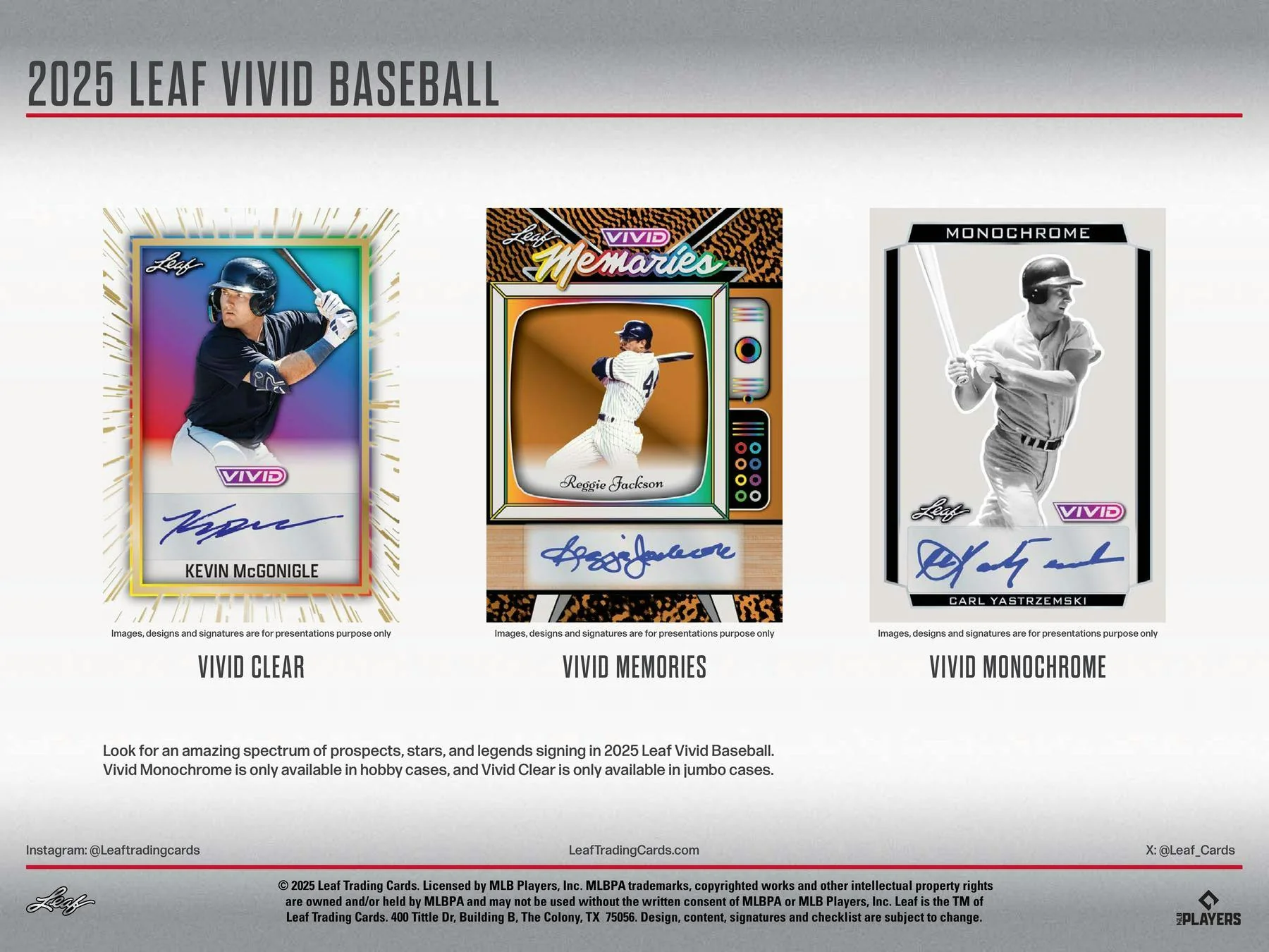 2025 Leaf Vivid Baseball Hobby Box | Columbia Sports Cards - Image 5