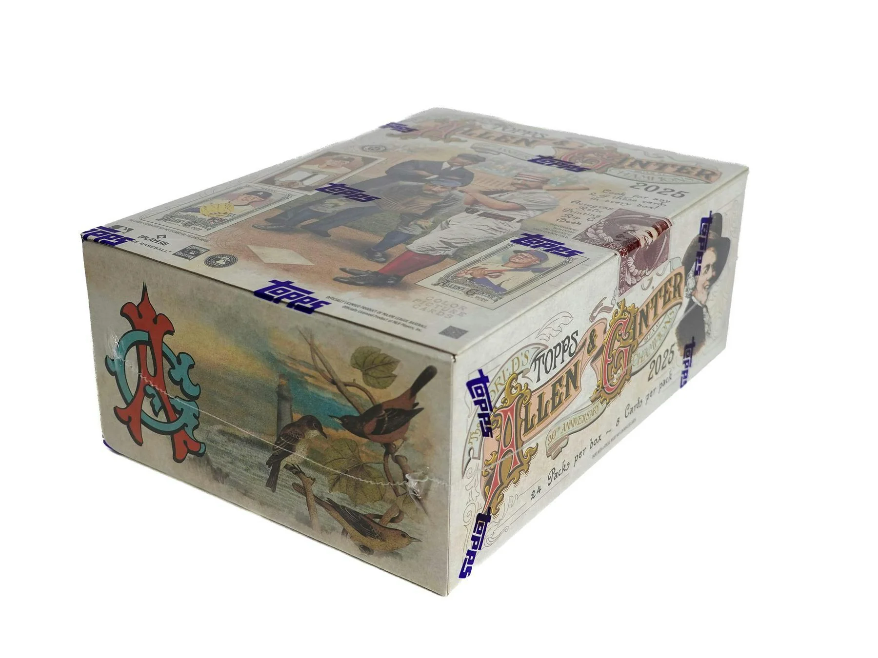 2025 Topps Allen & Ginter Baseball Hobby Box | Columbia Sports Cards - Image 3