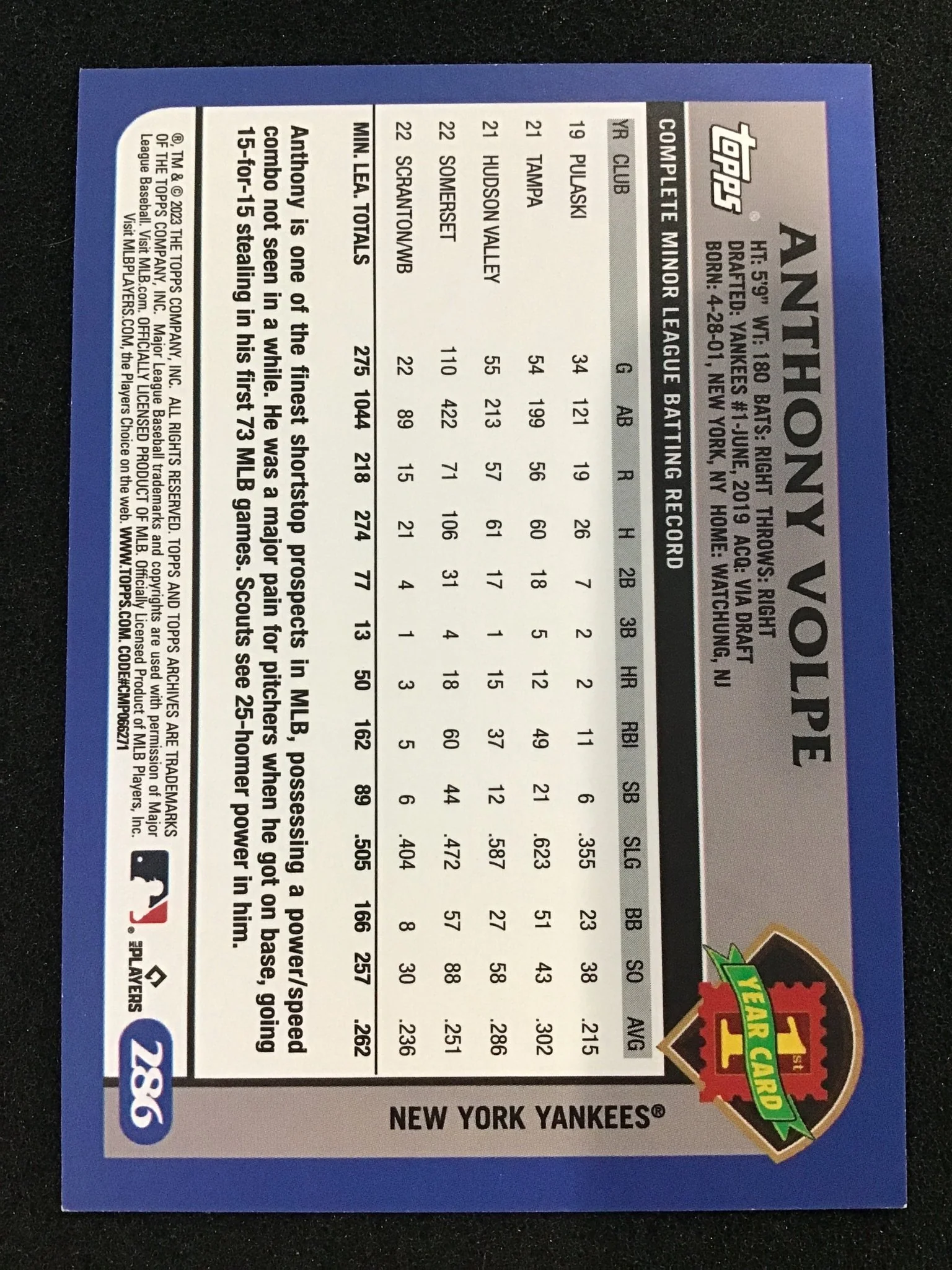 Anthony Volpe 2023 Topps Archives 1st Year Foil Variation RC SP #286 Yankees - Image 2