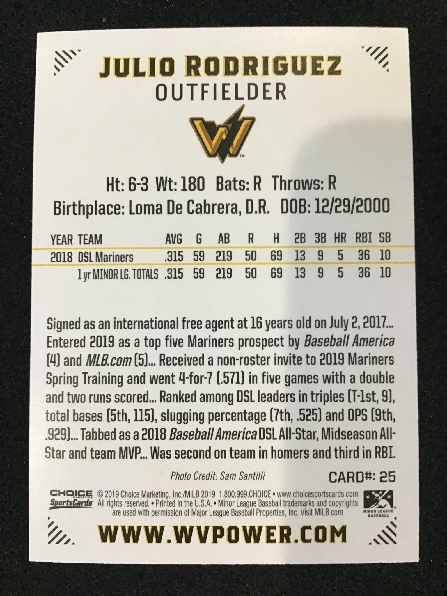 Julio Rodriguez 2019 Choice West Virginia Power #25 West Virginia Power - Image 2