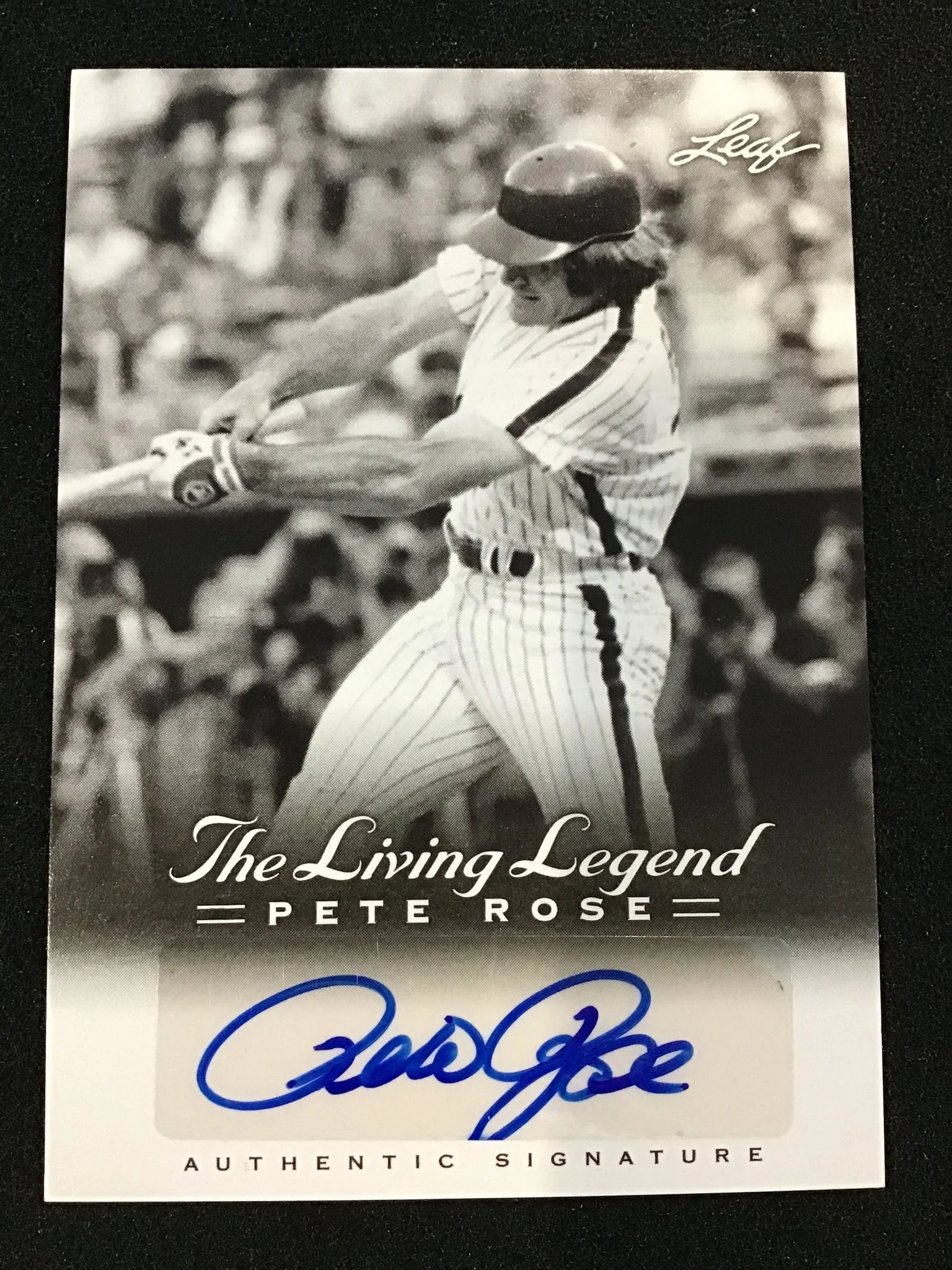 Pete Rose 2012 Leaf The Living Legend Auto AU-36 Philadelphia Phillies