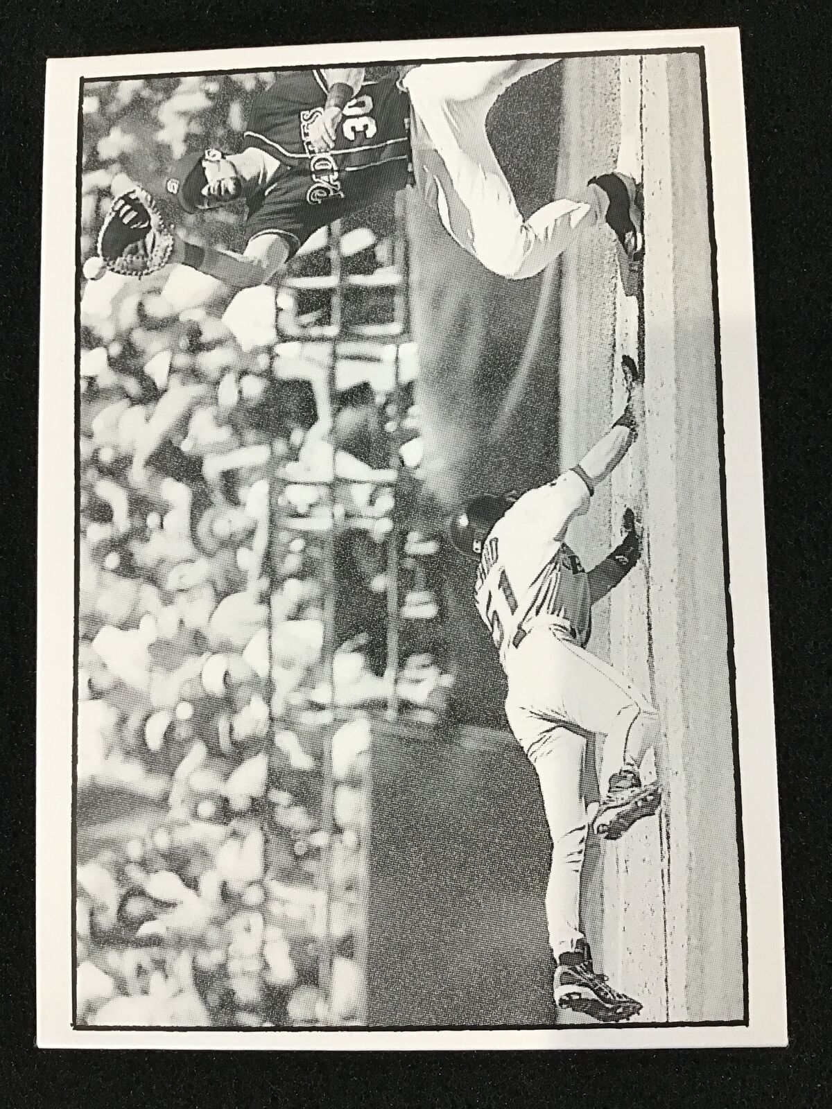 Ryan Klesko / Ichiro Suzuki 2003 Topps 205 TF43 Triple Folder Polar Bear - Image 2
